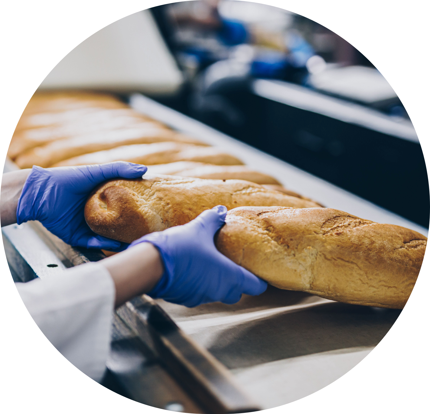 Climatización industrial y comercial en México