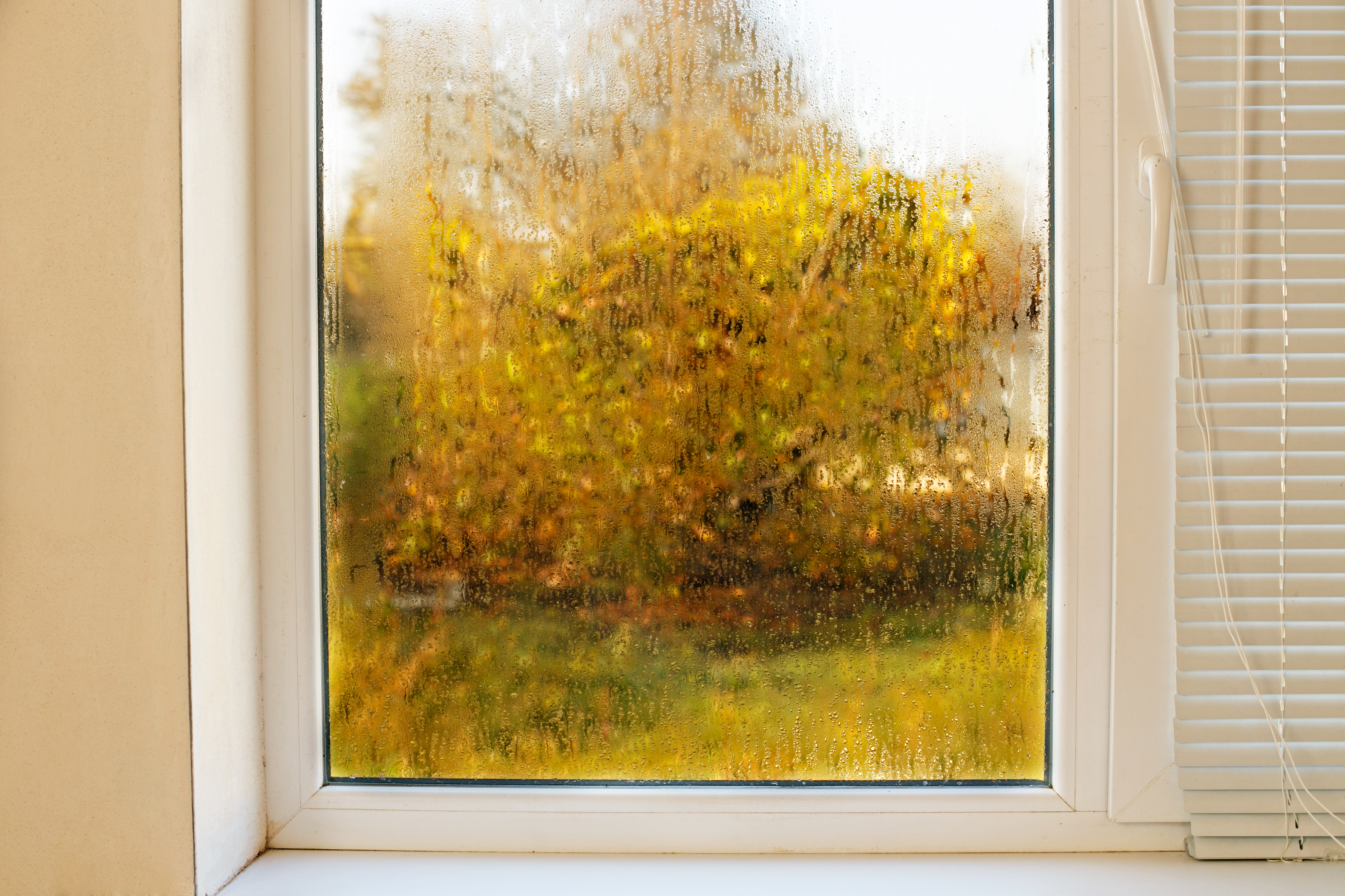 Recámara con problemas de humedad