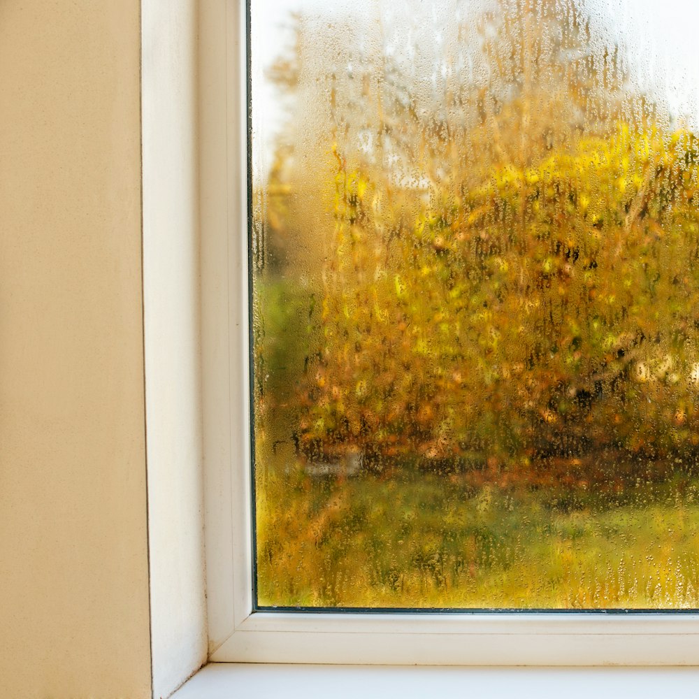 Recámara con problemas de humedad