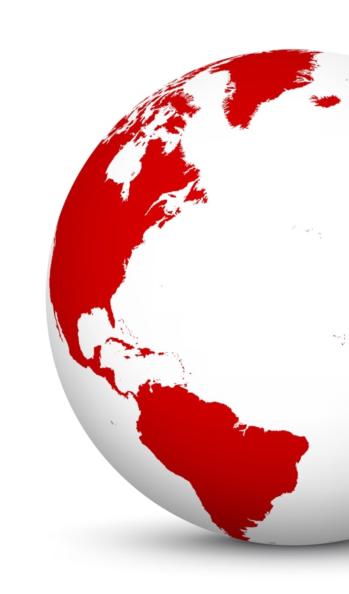 globo terraqueo Fox Logistics