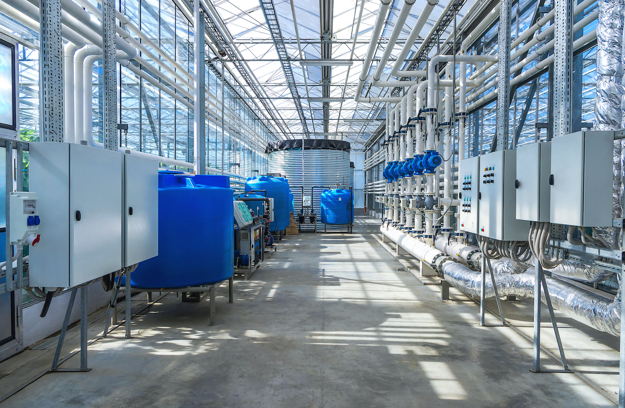 Espacio industrial con problemas de plagas de palomas