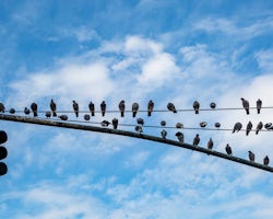 Yacht Rental Cabo San Lucas