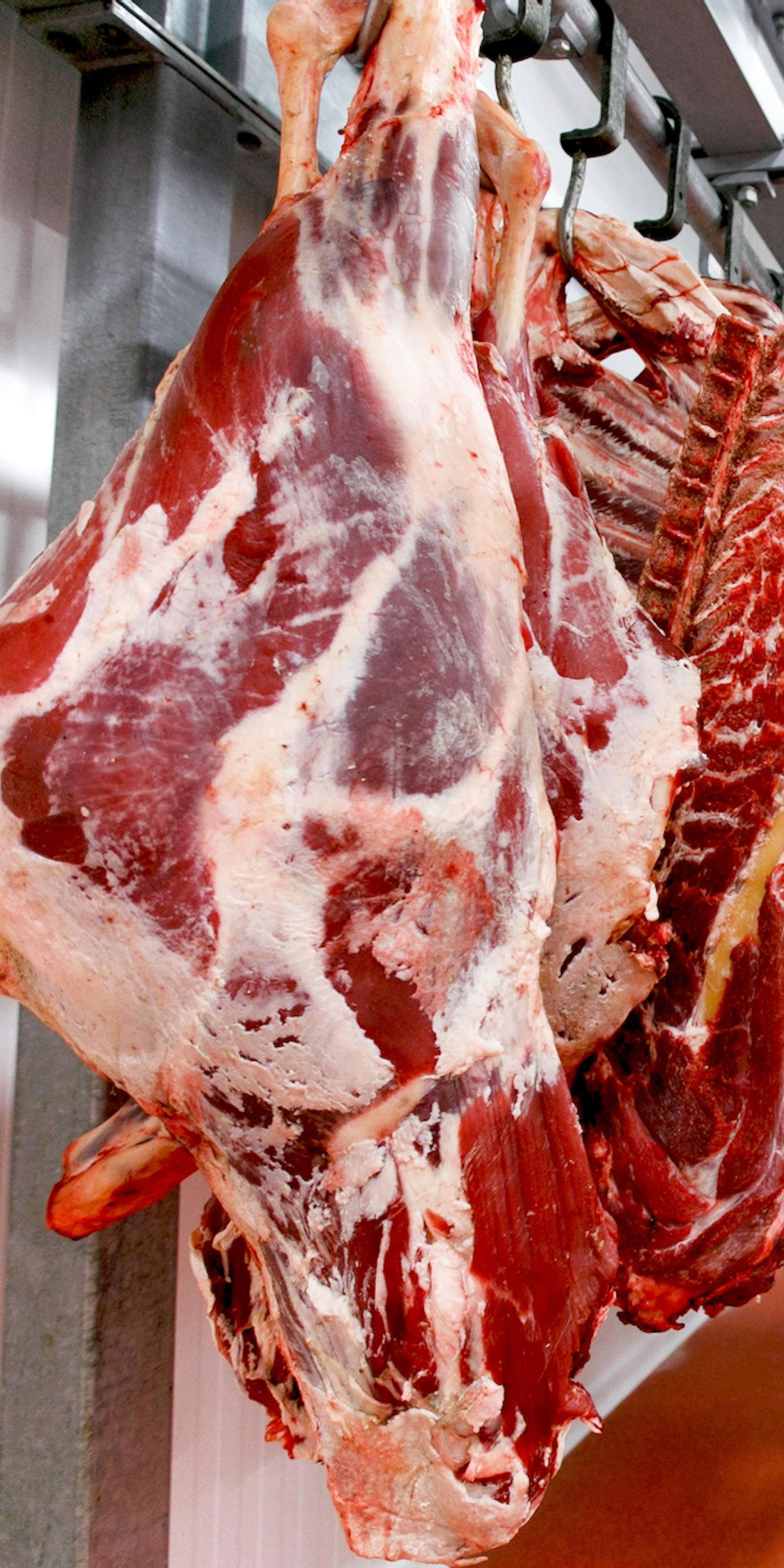 Imagen del proceso de transformación cárnica