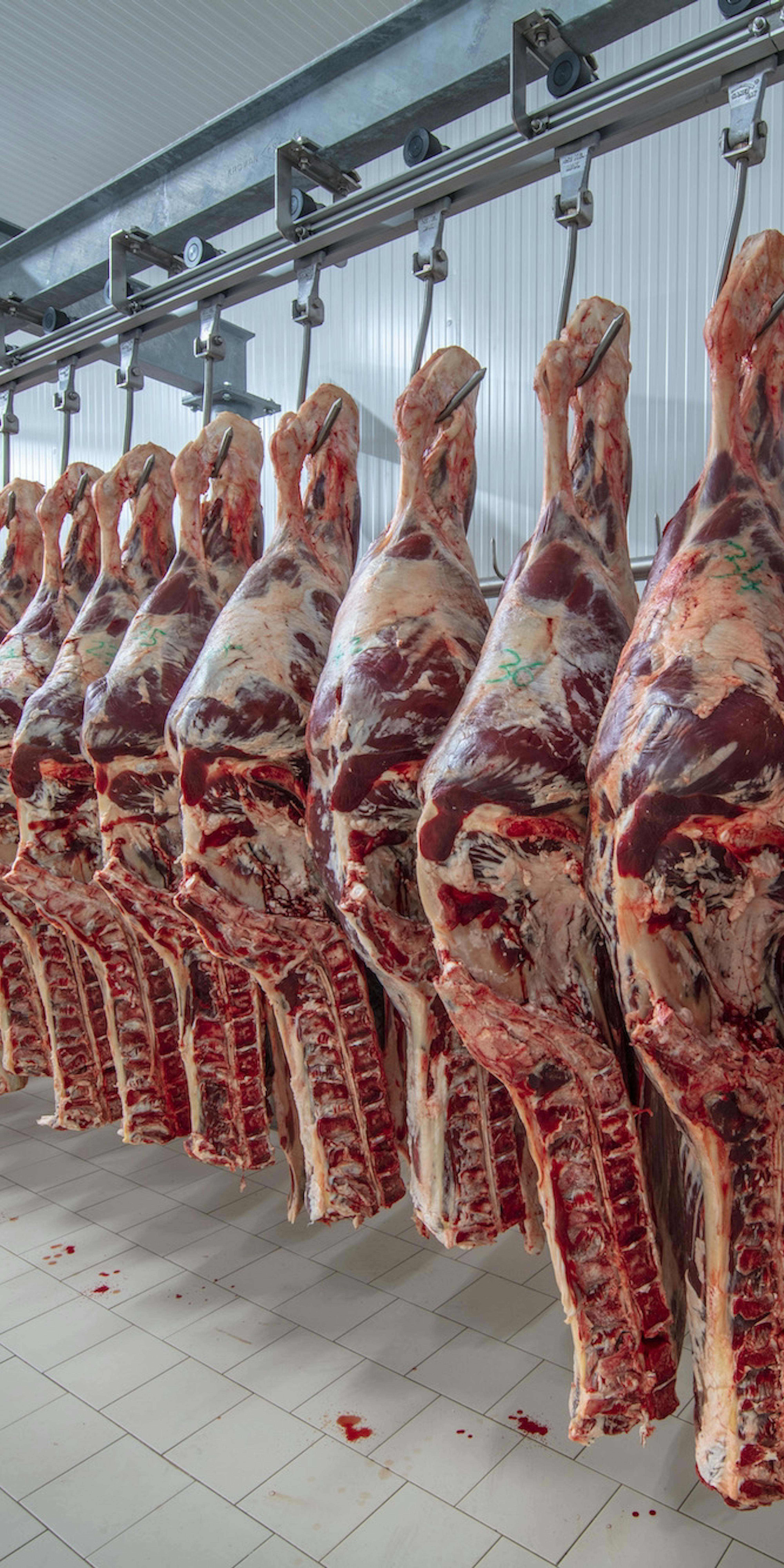 Imagen del proceso de transformación cárnica