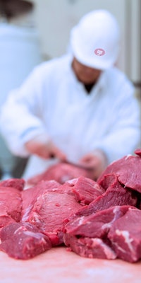 Dos novillos vivos de gran peso para consumo humano