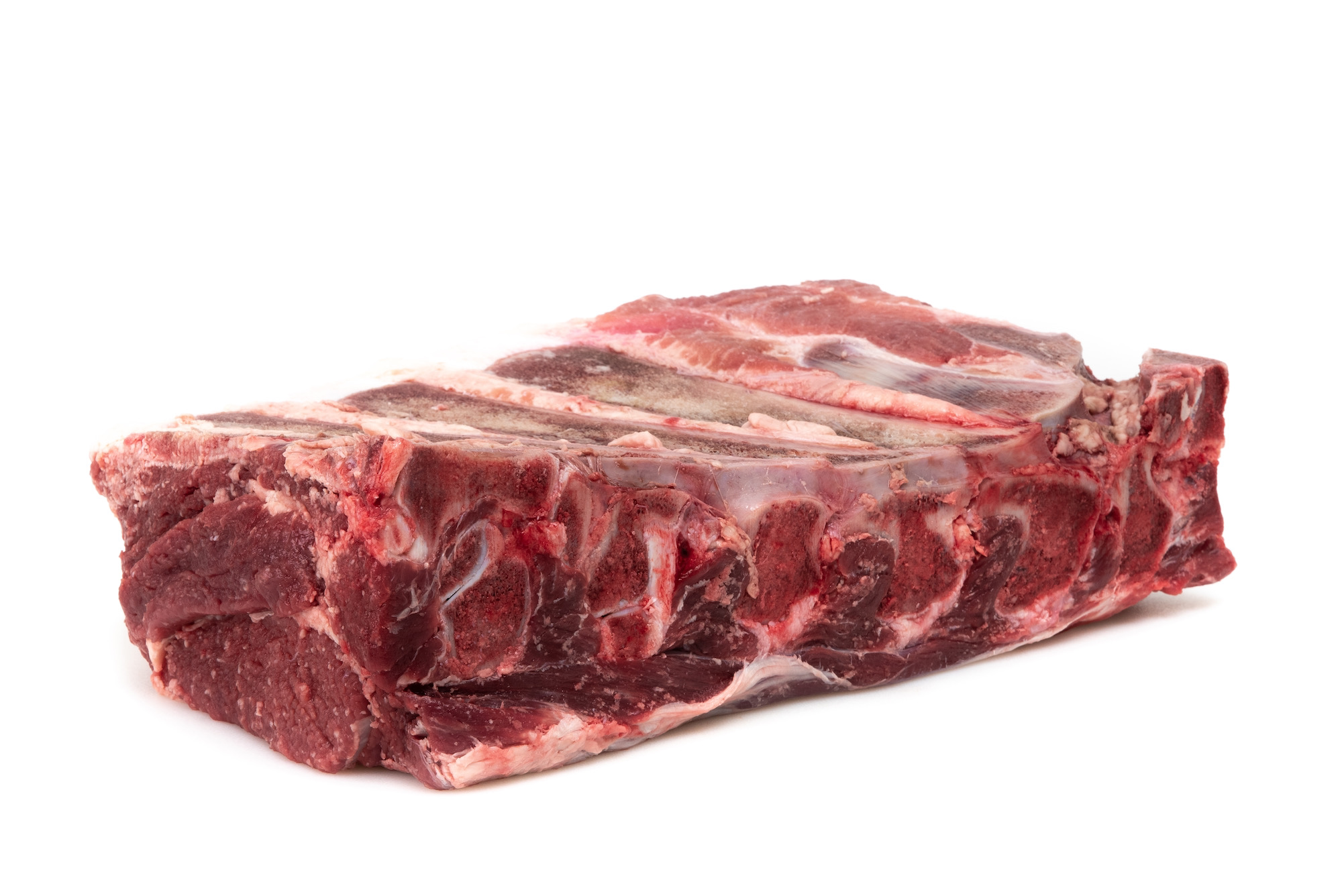 Aguja norteña de novillo