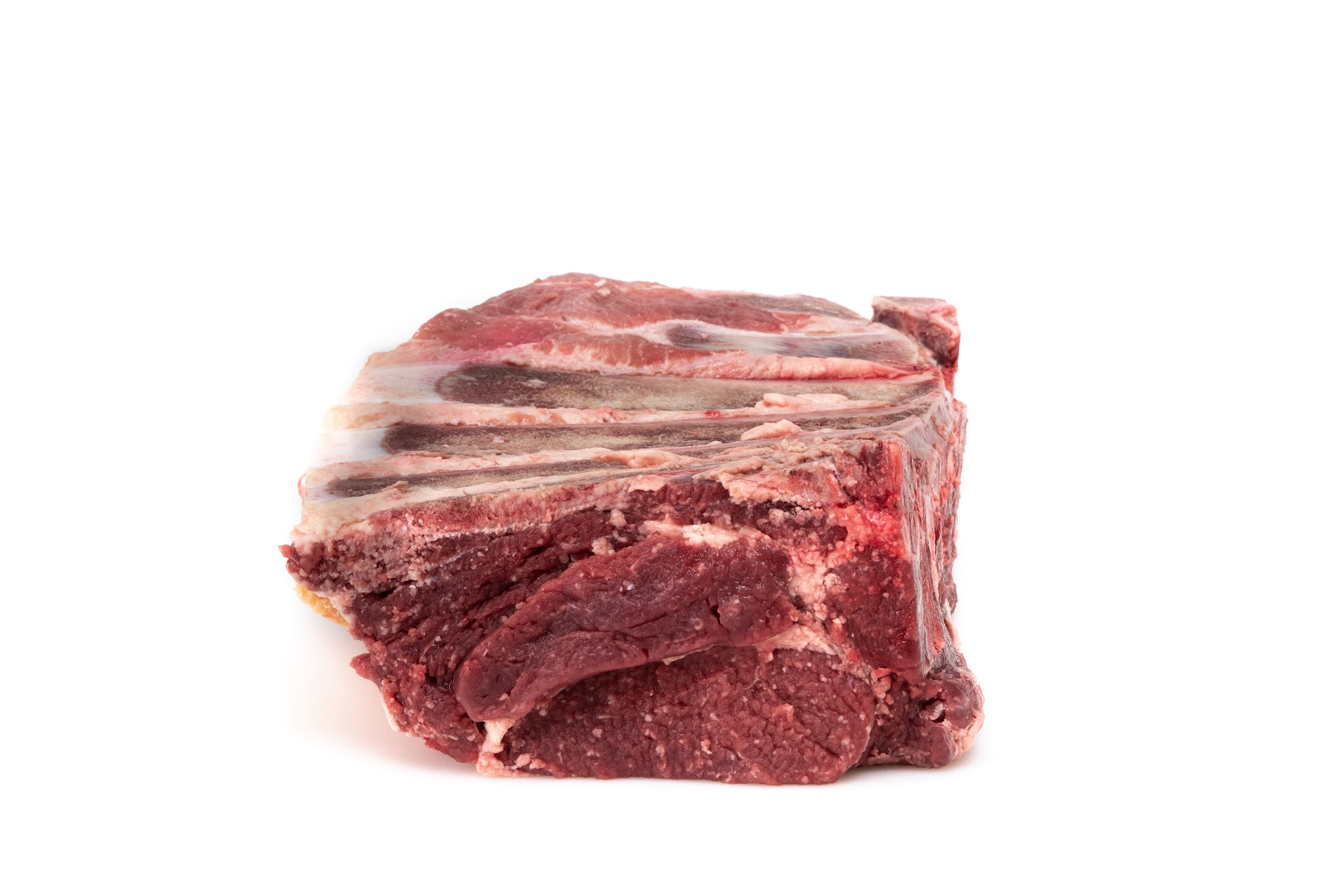 Aguja norteña de novillo