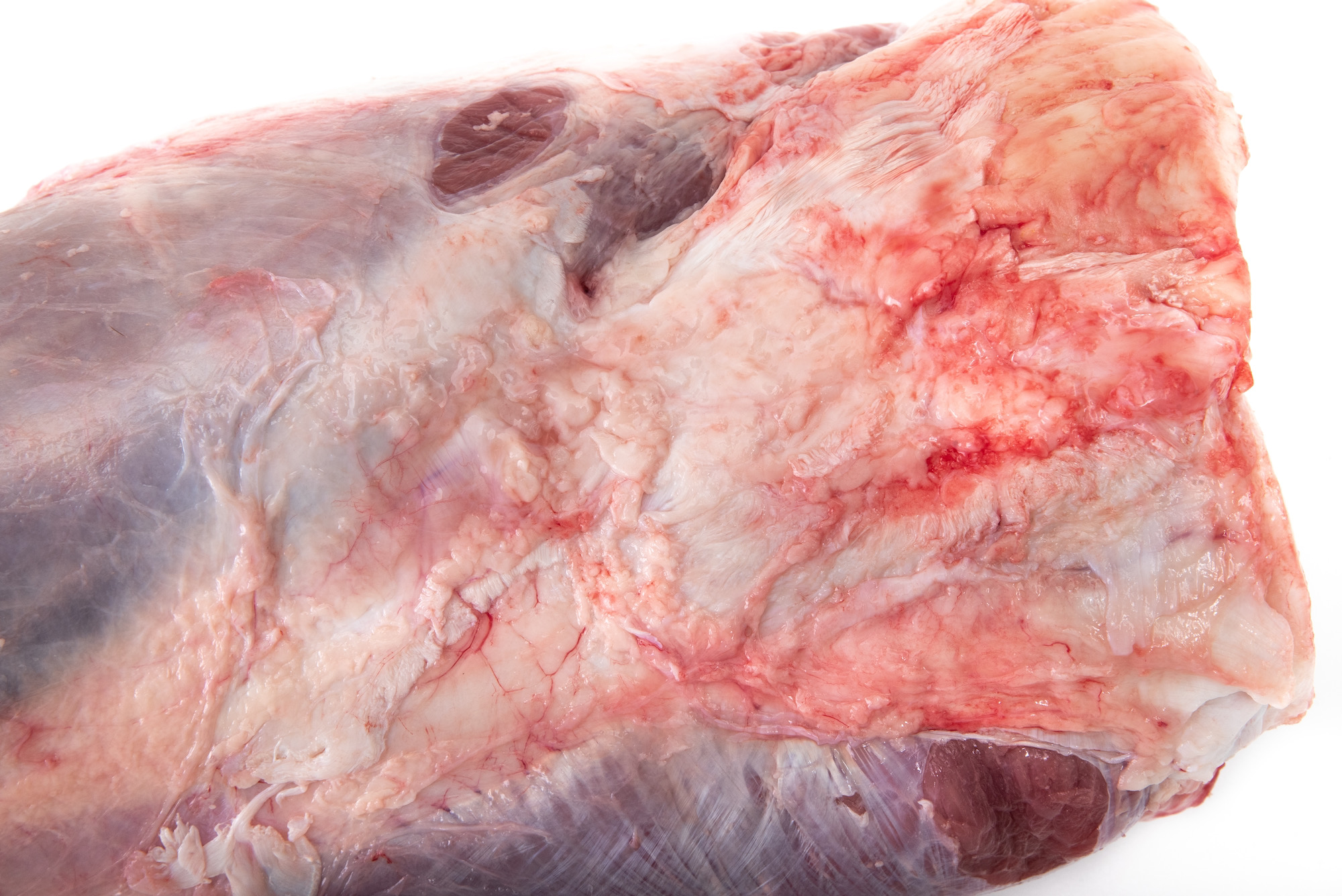 chamberete con hueso de novillo