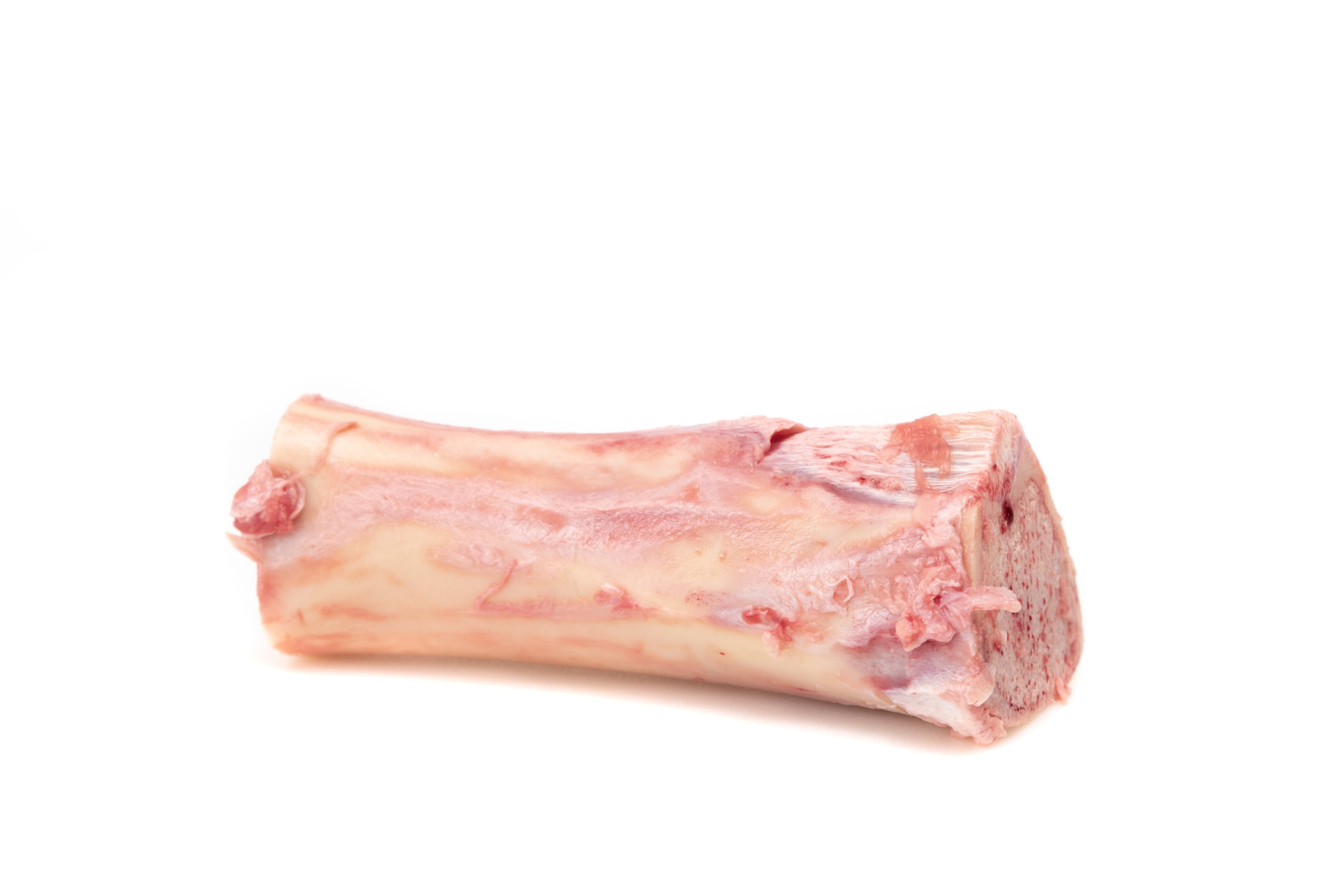 hueso tuetanero de novillo