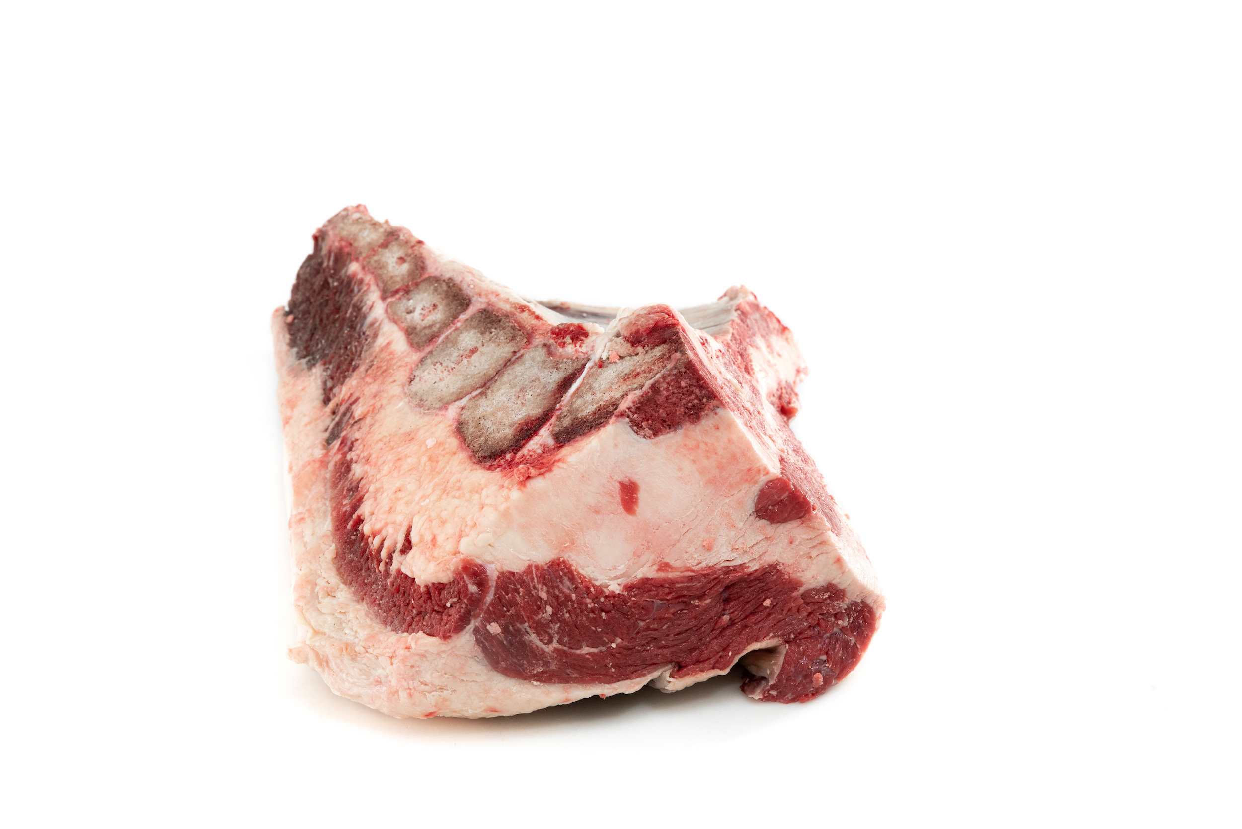 Pecho con hueso res de vaca al mayoreo en Mexico