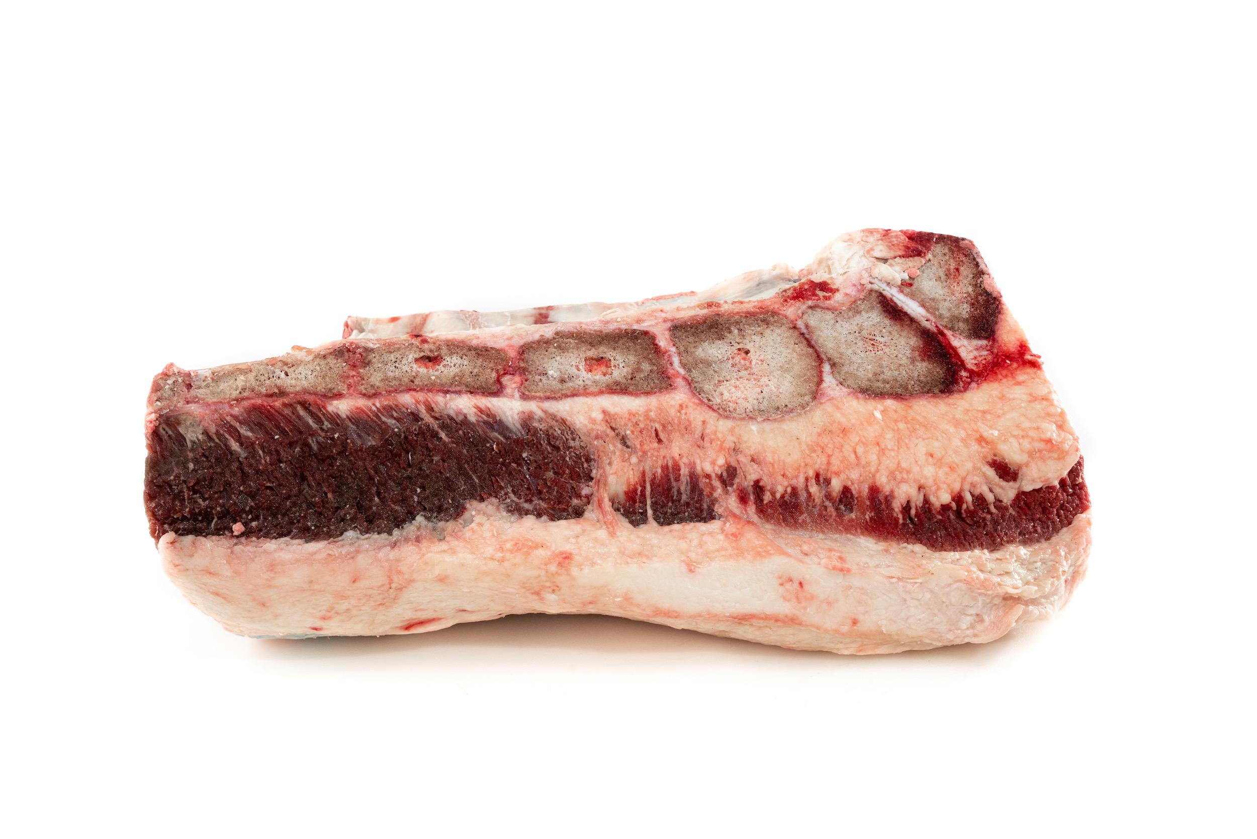 Pecho con hueso res de vaca al mayoreo en Mexico