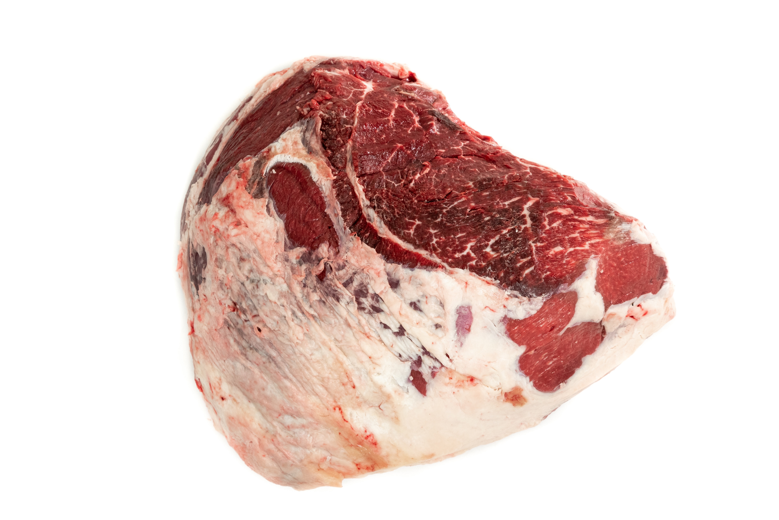 Pulpa negra de res de vaca al mayoreo en Mexico