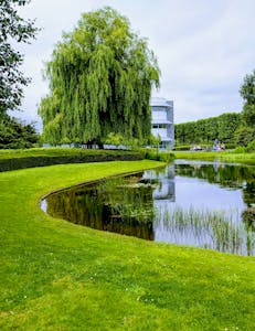 Diseño y Construcción de Parques Públicos
