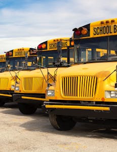 Camiones escolares usados americanos