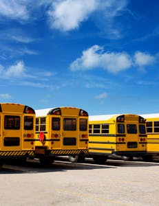 Camiones escolares usados americanos